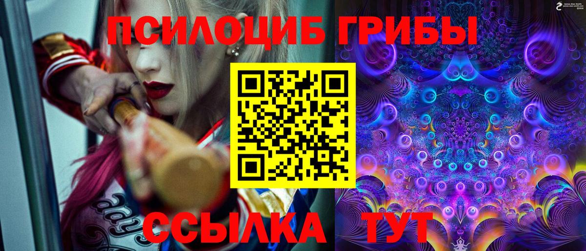 Псилоцибиновые грибы Cubensis  купить   Котлас  Вход с VPN  Галлюциногенные грибы GOLDEN TEACHER 